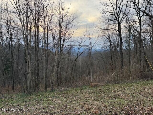 971 Scenic River Rd, Madisonville, TN 37354