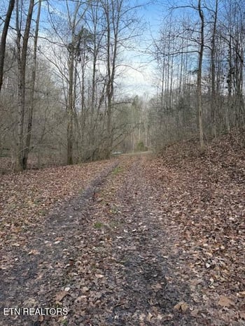 971 Scenic River Rd, Madisonville, TN 37354
