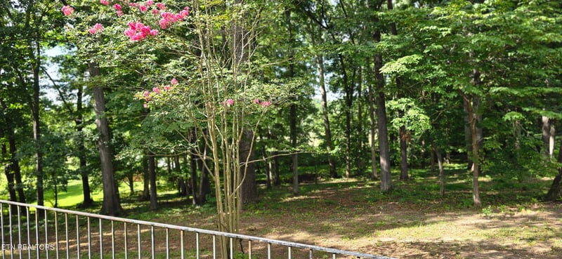 9721 Asheville Hwy, Strawberry Plains, TN 37871