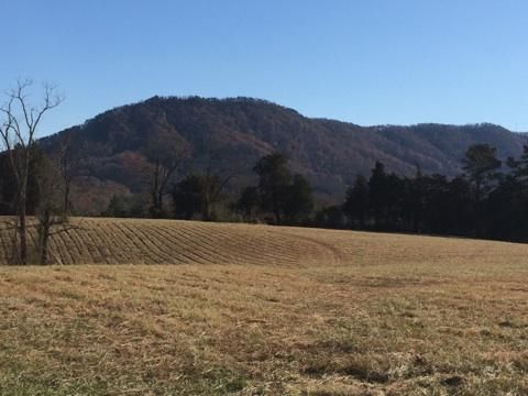9724 House Mountain Way, Corryton, TN 37721