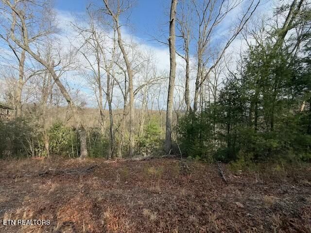 973 - 974 Ridgefield, Sevierville, TN 37876