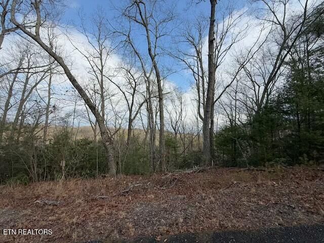 973 - 974 Ridgefield, Sevierville, TN 37876