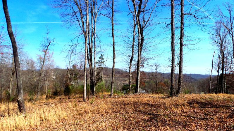 9733 Hidden Branch Ln, Heiskell, TN 37754
