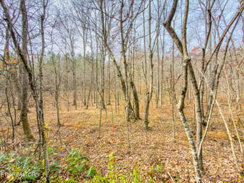 9745 Morgan County Hwy, Sunbright, TN 37872