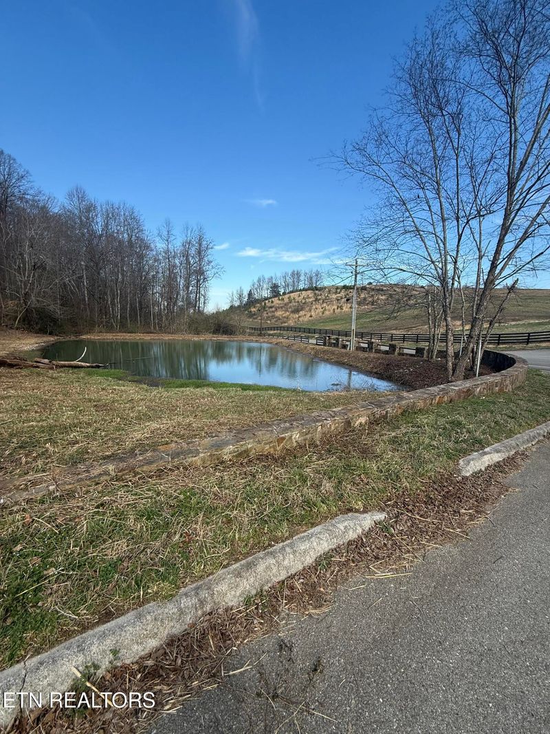 975 Co Rd 316, Niota, TN 37826