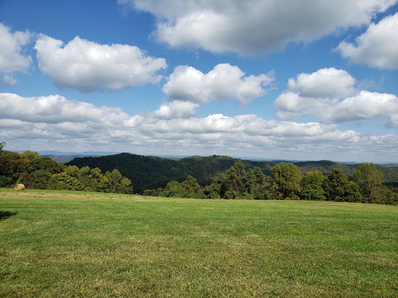 976 Fox Hunter Rd, Maynardville, TN 37807