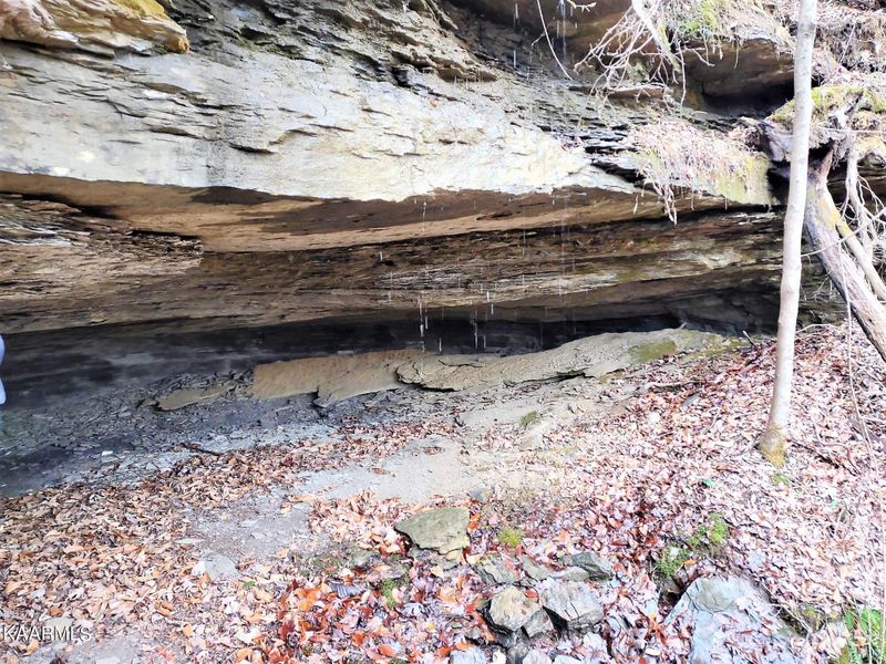 977 Cecil Rd, Robbins, TN 37852