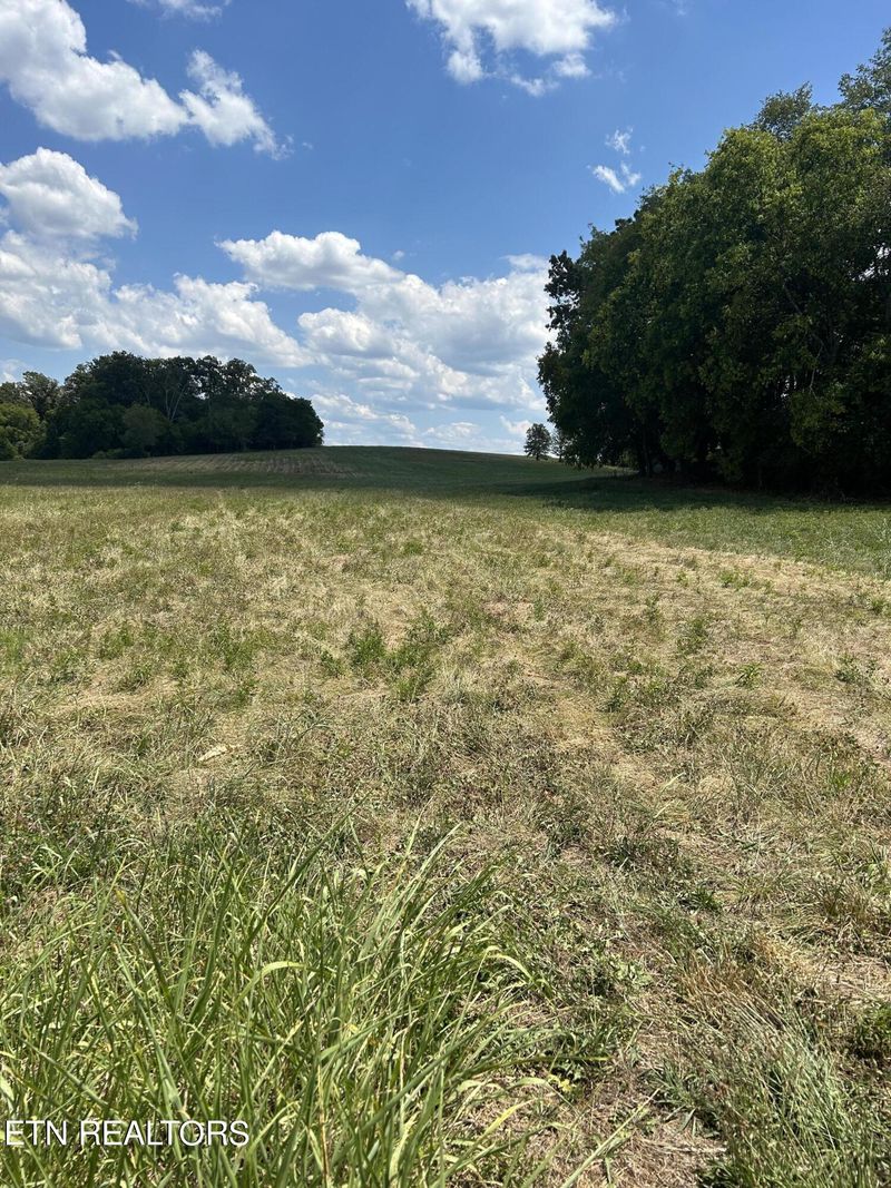 979 Frogpond Rd, Friendsville, TN 37737