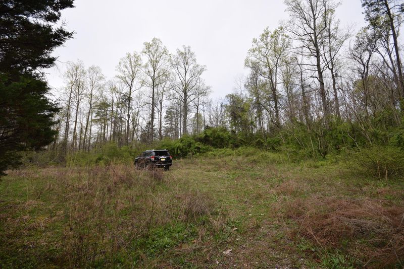 9801 George Williams Rd, Knoxville, TN 37922