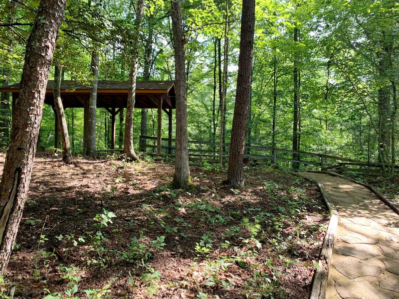 981 Sencebaugh Dr, Sevierville, TN 37876