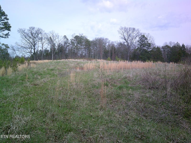 9927 Stringtown Rd, Strawberry Plains, TN 37871