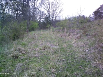 9927 Stringtown Rd, Strawberry Plains, TN 37871
