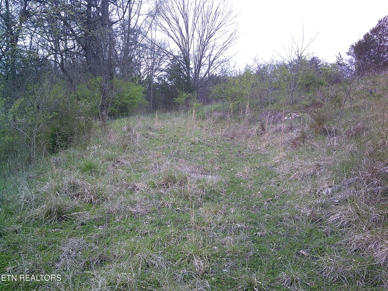 9927 Stringtown Rd, Strawberry Plains, TN 37871