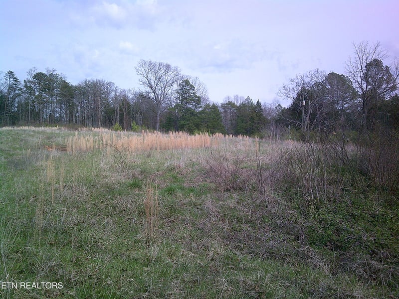 9927 Stringtown Rd, Strawberry Plains, TN 37871