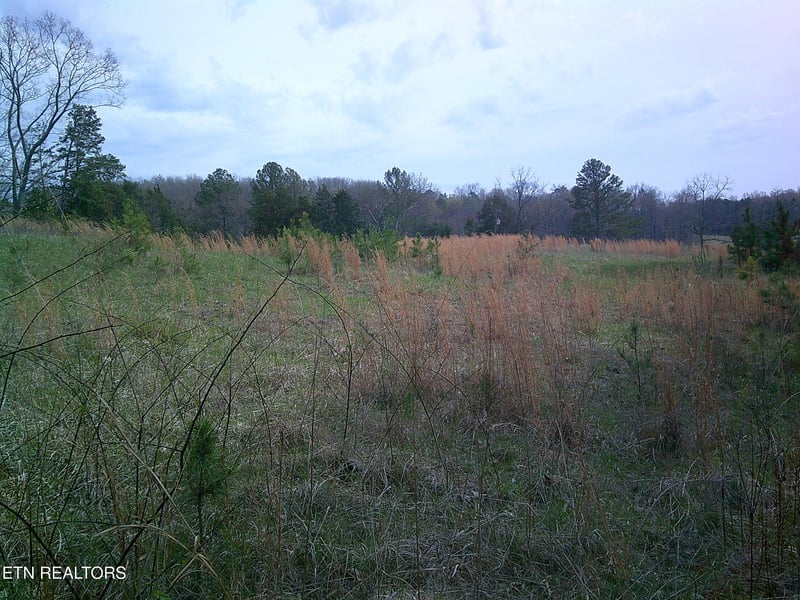 9927 Stringtown Rd, Strawberry Plains, TN 37871