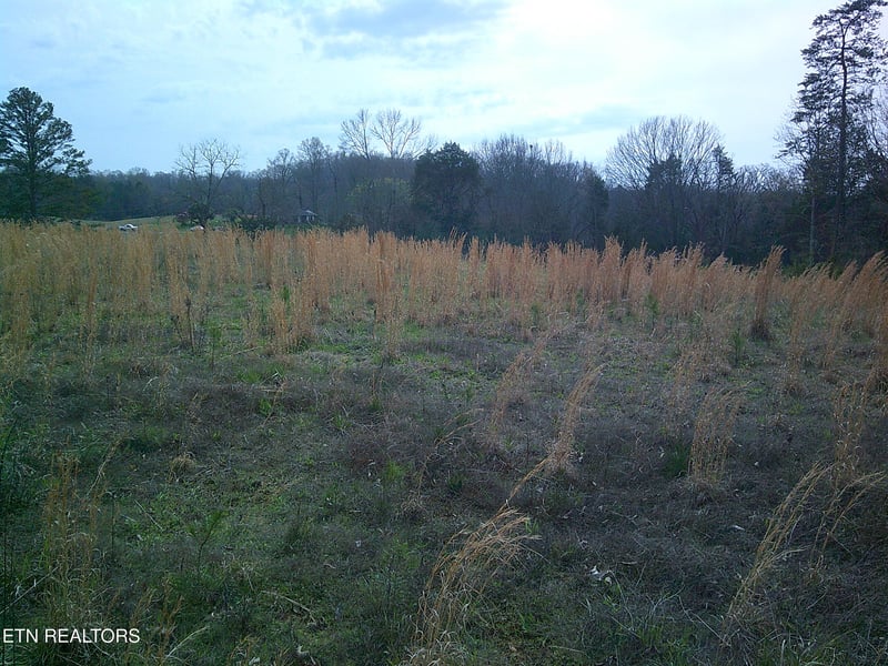 9927 Stringtown Rd, Strawberry Plains, TN 37871