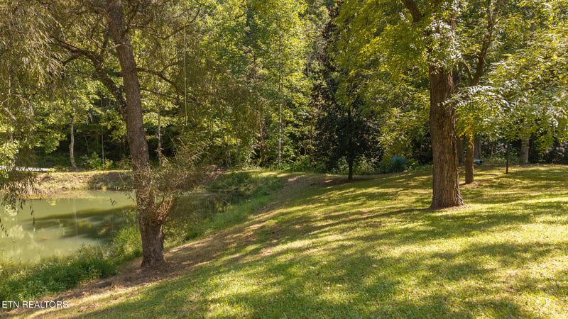 997 Miller Hollow Rd, Bean Station, TN 37708