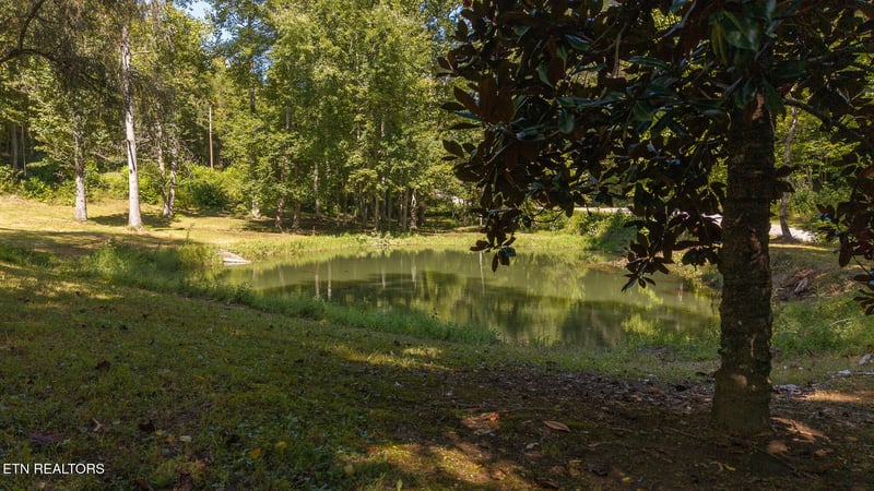 997 Miller Hollow Rd, Bean Station, TN 37708