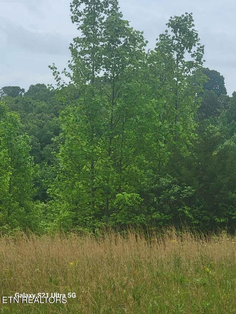 9999 Walker Rd, Sharps Chapel, TN 37866