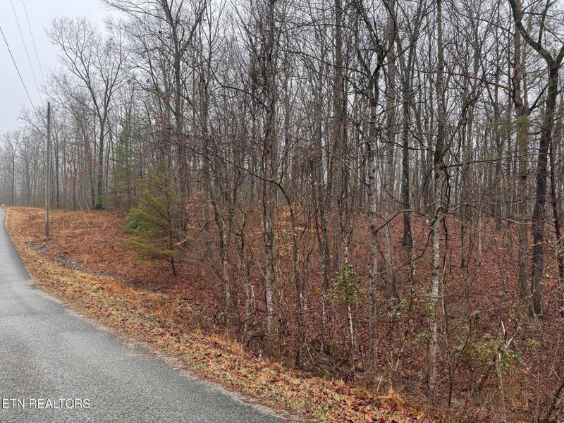 Arbutus Trail #aka Silcox Ford Rd S/0, Helenwood, TN 37755