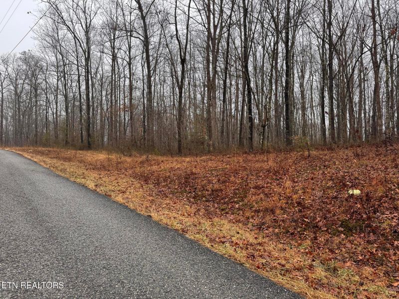 Arbutus Trail #aka Silcox Ford Rd S/0, Helenwood, TN 37755