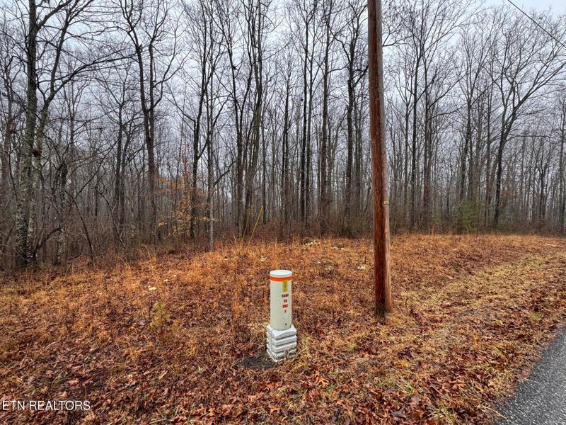 Arbutus Trail #aka Silcox Ford Rd S/0, Helenwood, TN 37755