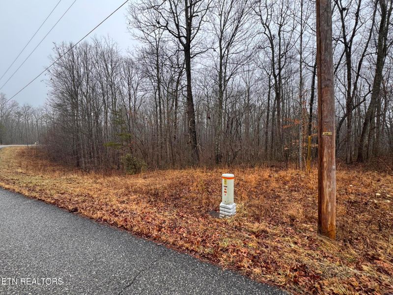 Arbutus Trail #aka Silcox Ford Rd S/0, Helenwood, TN 37755