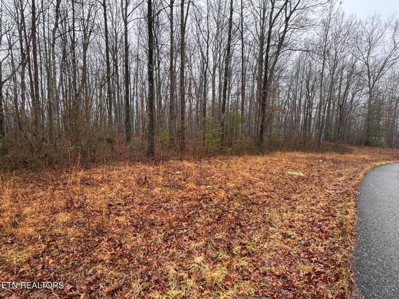 Arbutus Trail #aka Silcox Ford Rd S/0, Helenwood, TN 37755