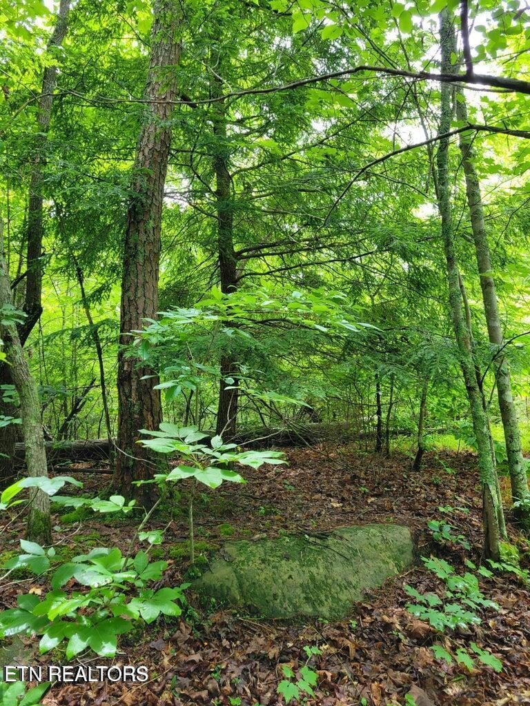 Blk 203 L5 Cumberland Lakes Dr, Monterey, TN 38574