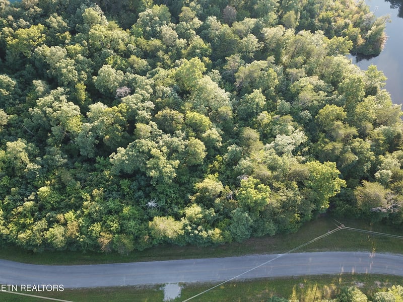 Blk 203 L5 Cumberland Lakes Dr, Monterey, TN 38574
