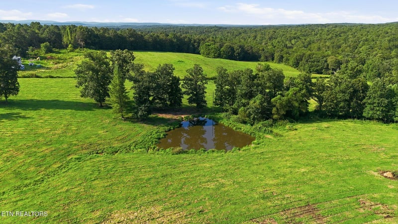 Deer Lodge, TN 37726