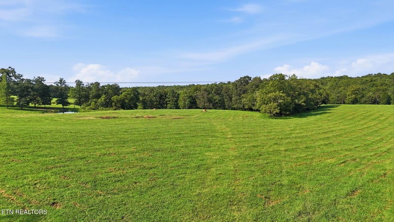 Deer Lodge, TN 37726