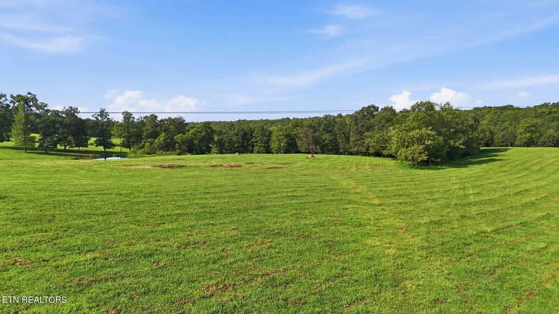 Deer Lodge, TN 37726