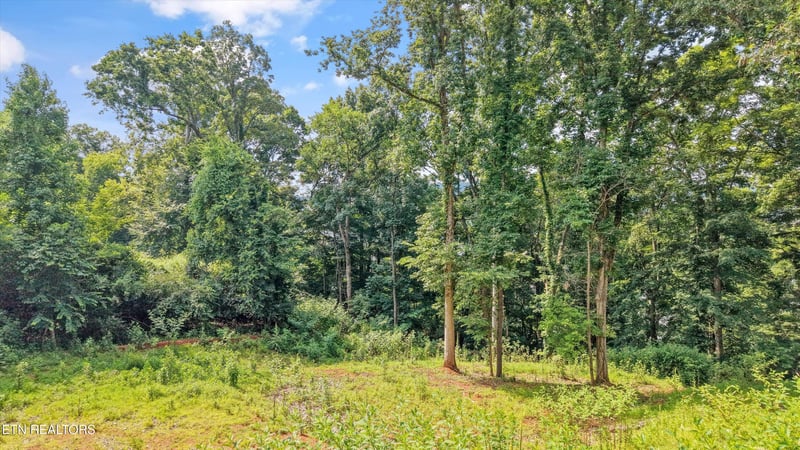 L-13 Cedar Grove St Lot 13, Loudon, TN 37774