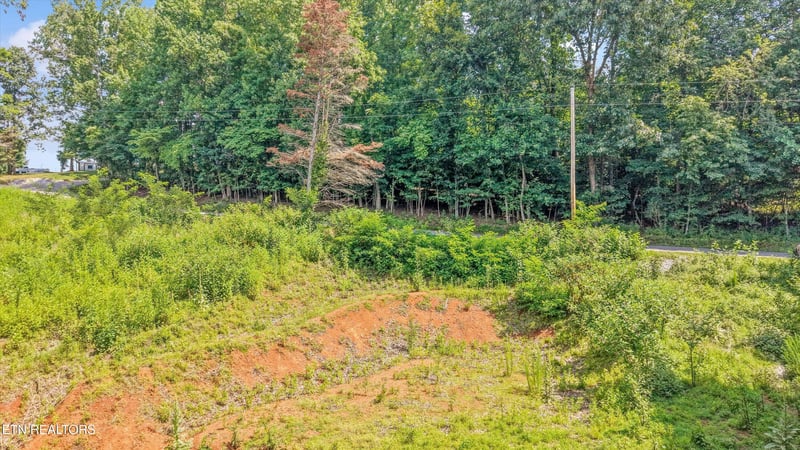 L-13 Cedar Grove St Lot 13, Loudon, TN 37774