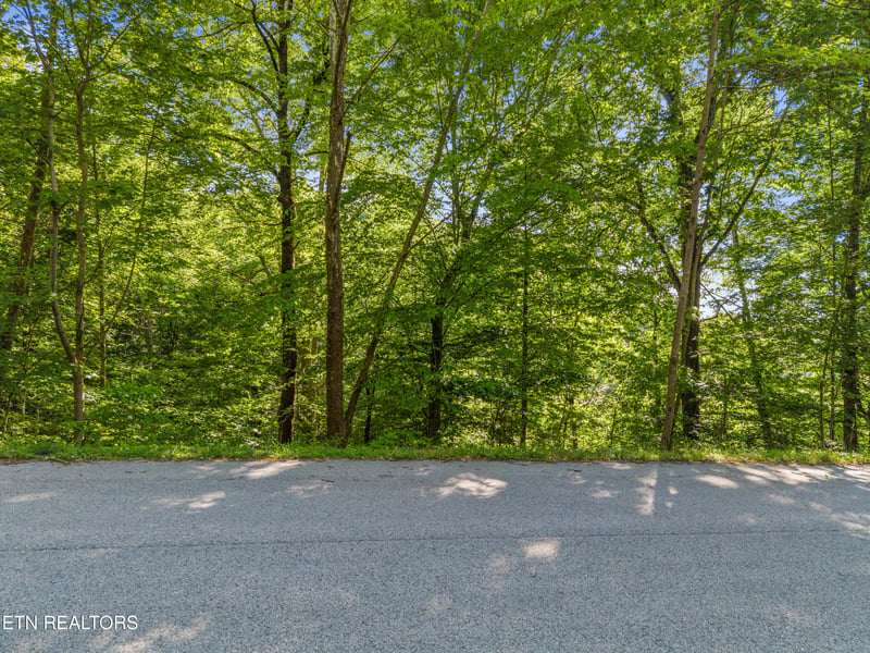 L-156R Garfield Ln, Sharps Chapel, TN 37866