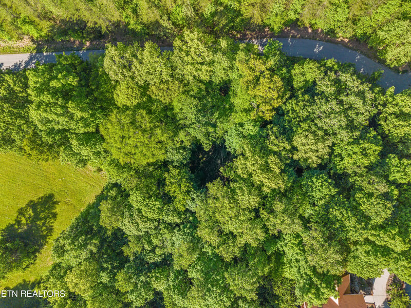 L-156R Garfield Ln, Sharps Chapel, TN 37866