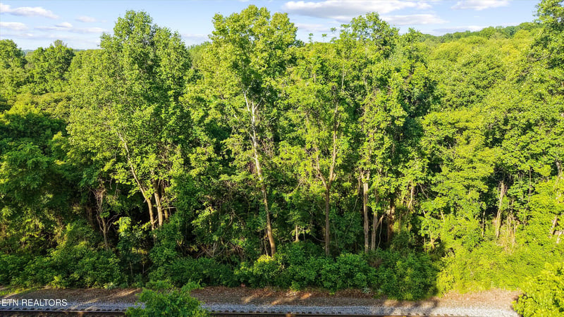 L-19 Dry Gap, Knoxville, TN 37912