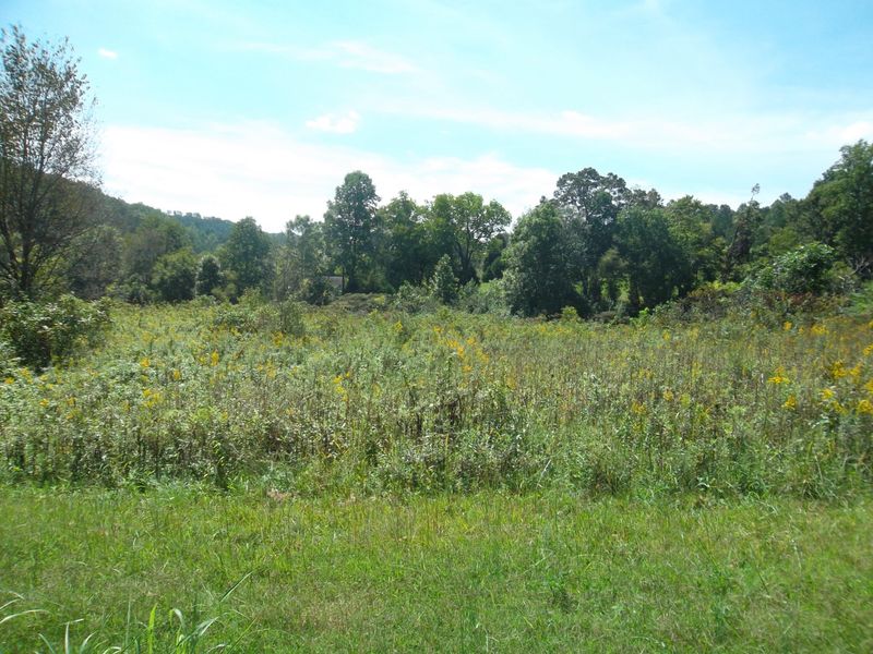 L-2 Wolf Peak Ln, Heiskell, TN 37754