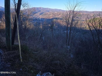 L 3 Tower Rd, Gatlinburg, TN 37738