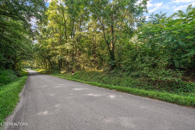 L - 6 Randolph Fridley Rd Lot 6, Sweetwater, TN 37874