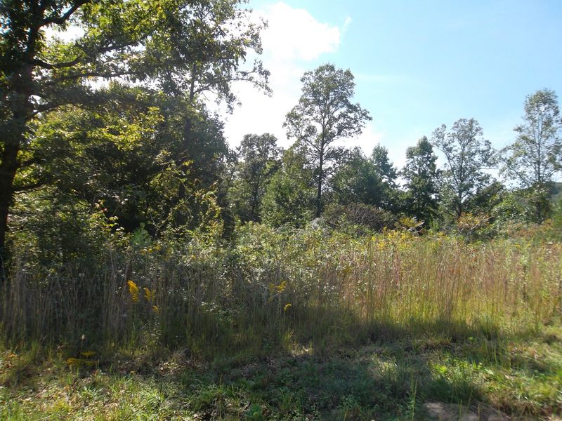 L-6 Wolf Peak Ln, Heiskell, TN 37754