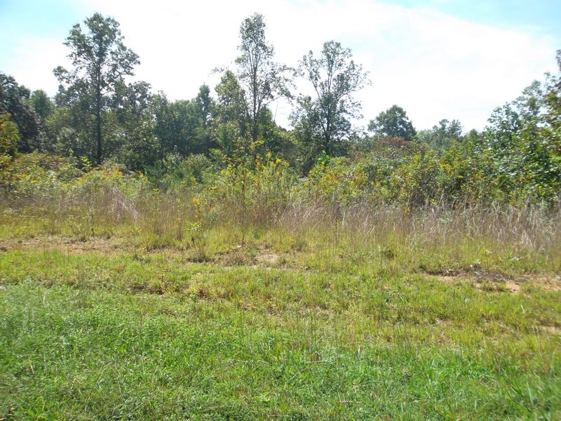 L-7 Wolf Peak Ln, Heiskell, TN 37754