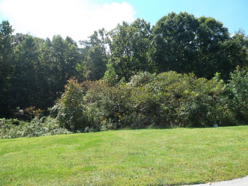 L-8r1 Wolf Peak Ln, Heiskell, TN 37754