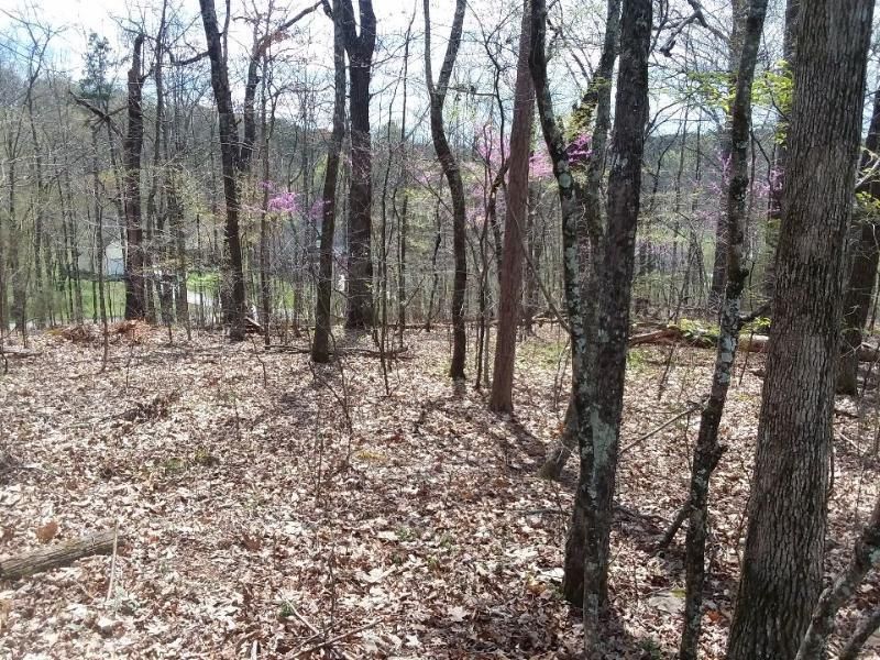 L107 Cherokee Dr, Vonore, TN 37885