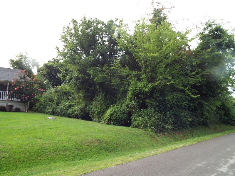 L12b12 Mingo Ln, Loudon, TN 37774