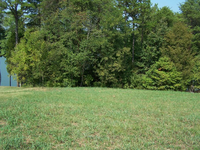 L184 Sandpiper Dr, Vonore, TN 37885