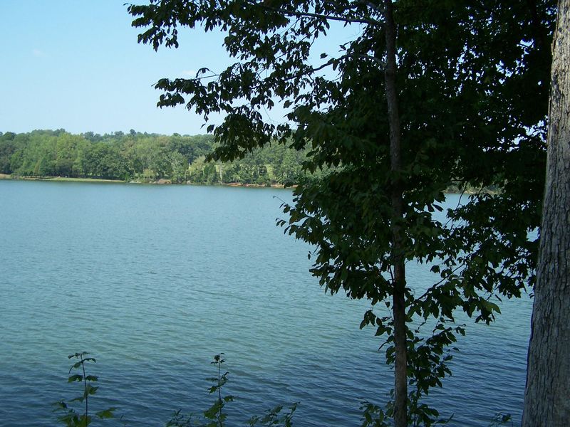 L184 Sandpiper Dr, Vonore, TN 37885