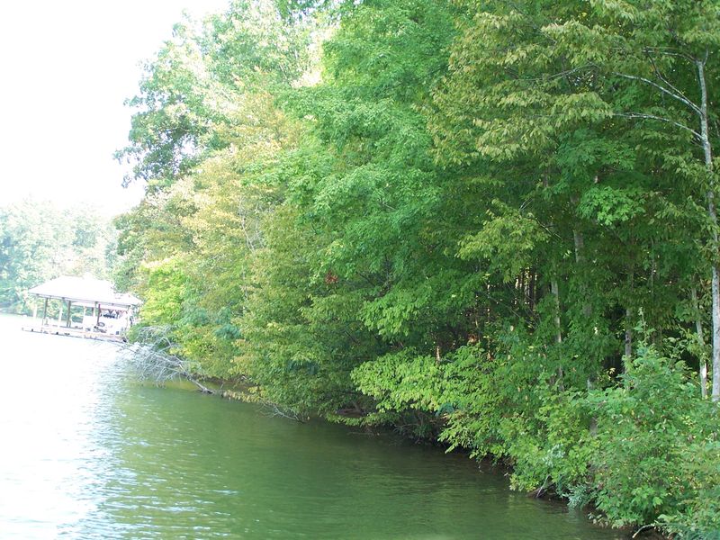 L184 Sandpiper Dr, Vonore, TN 37885