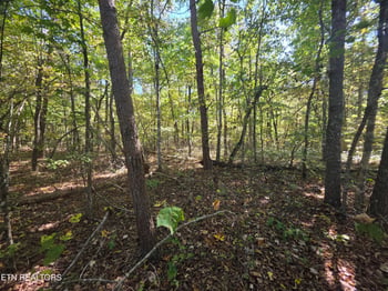 L6 Cumberland Lakes Dr, Monterey, TN 38574